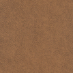 color-box