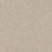 color-box