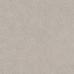 color-box