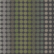 color-box