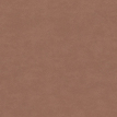 color-box