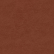 color-box