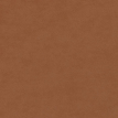 color-box