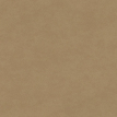 color-box