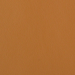 color-box