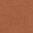 color-box