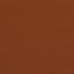 color-box