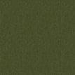 color-box