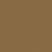 color-box