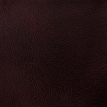 color-box