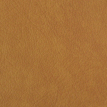 color-box