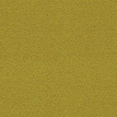 color-box