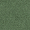 color-box