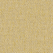 color-box