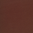 color-box
