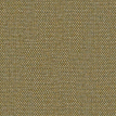 color-box