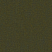 color-box