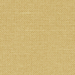 color-box