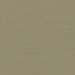 color-box