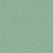 color-box