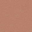 color-box