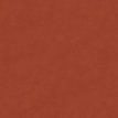 color-box