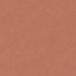 color-box