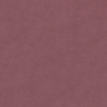 color-box