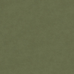 color-box