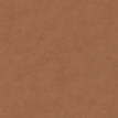 color-box