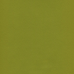 color-box