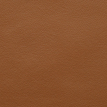color-box
