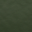 color-box