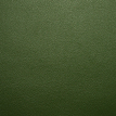 color-box