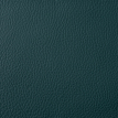 color-box