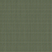 color-box