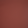 color-box