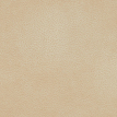 color-box