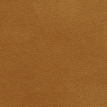 color-box