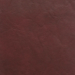 color-box