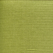color-box