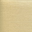 color-box