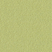 color-box
