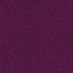 color-box