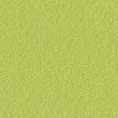 color-box