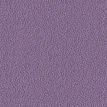 color-box