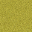 color-box