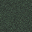 color-box