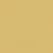 color-box