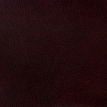 color-box